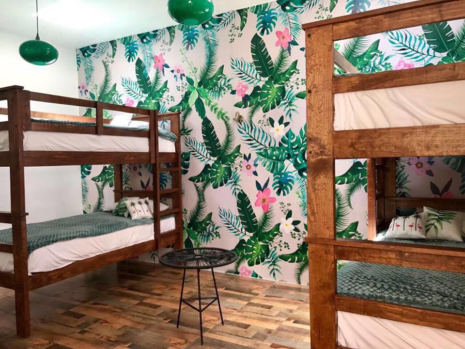 Hoja Santa Hostal Boutique Cholula Εξωτερικό φωτογραφία