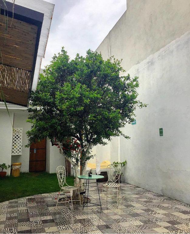 Hoja Santa Hostal Boutique Cholula Εξωτερικό φωτογραφία